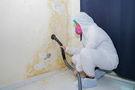 Best Environmental Consulting for Mold Prevention  in Rock Island, IL